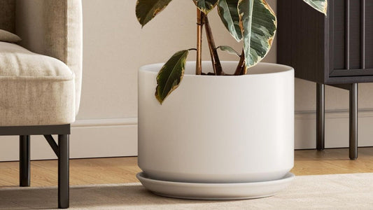 Les pots de fleurs en plastiques sont-ils idéals pour les plantes ?