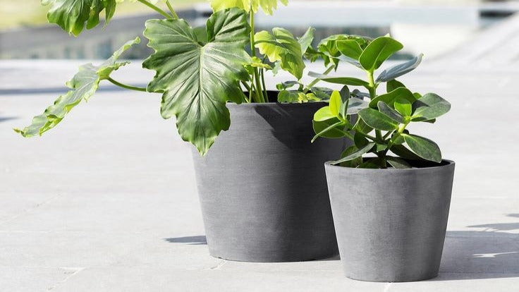 Nos Pots de Fleurs en Plastique