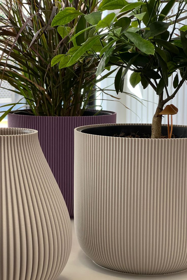 Découvrez nos cache-pots