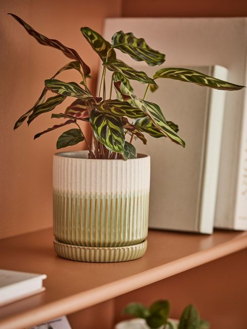 Découvrez nos pots de fleurs