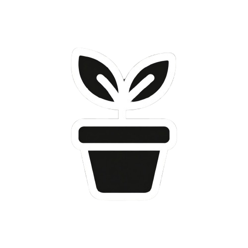 Plante En Pot