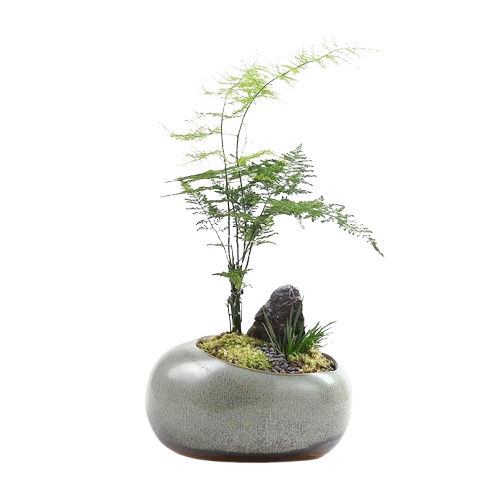 Pot de Fleur en Pierre