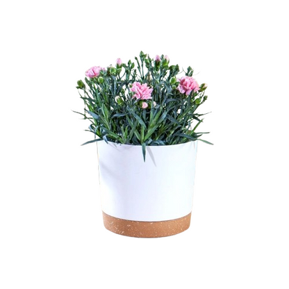 Pot de fleur intérieur en plastique avec réservoir