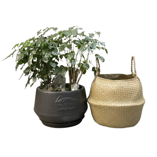 Cache pot en osier
