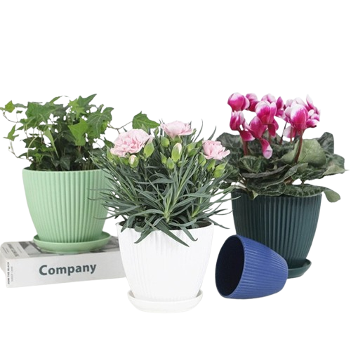 Petit pot de fleurs en plastique avec soucoupe